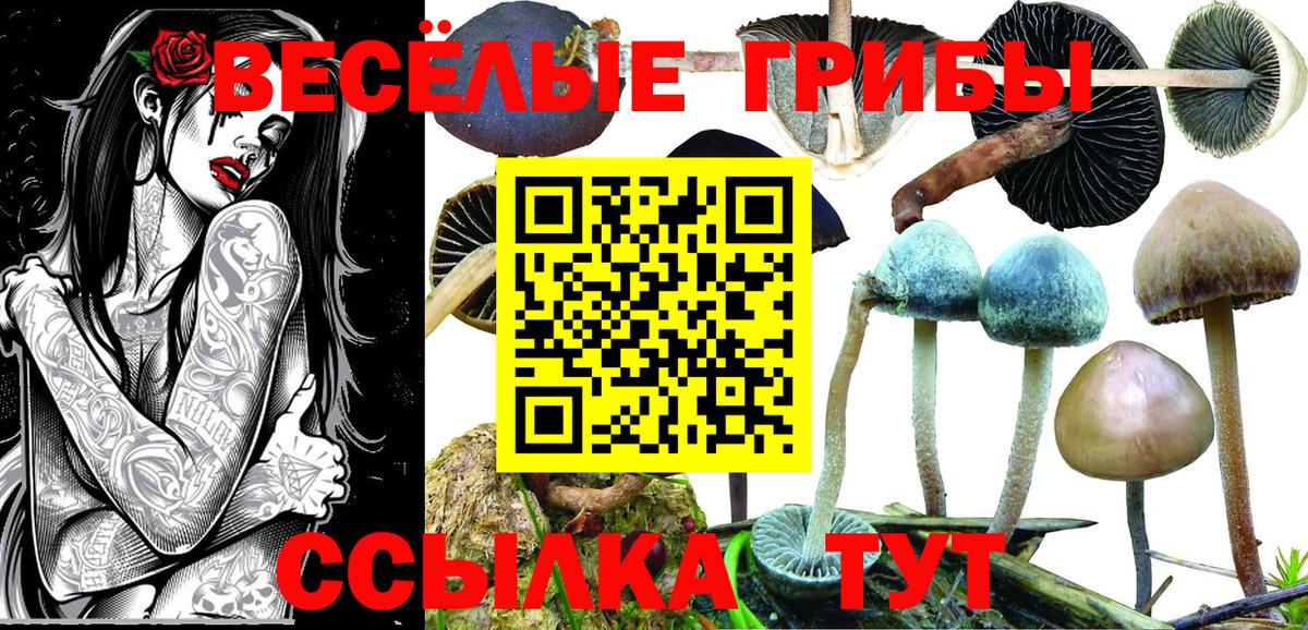 Псилоцибиновые грибы мицелий  Вход с VPN  Нарткала 